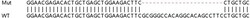 Abcam&nbsp;Human LTB4R2 (Leukotriene B4 Receptor 2) knockout HeLa cell lysate.