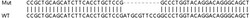 Abcam&nbsp;Human KHK (ketohexokinase) knockout HEK-293T cell lysate.