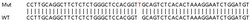 Abcam&nbsp;Human GBP1 knockout A549 cell lysate.