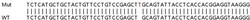 Abcam&nbsp;Human ERGIC3 knockout HEK-293T cell lysate.