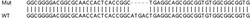 Abcam Human ATOX1 knockout HEK-293T cell lysate.