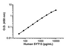Abcam&nbsp;SYT13 Antibody Pair - BSA and Azide free, 10 x 96 Tests