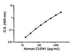 Abcam Human CLSTN1 Antibody Pair - BSA and Azide free, 10 x 96 Tests