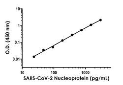 Abcam SARS-CoV-2 Nucleoprotein Antibody Pair - BSA and Azide free, 10 x 96 Tests