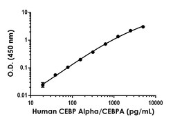 Abcam CEBP Alpha/CEBPA Antibody Pair - BSA and Azide free, 10 x 96 Tests
