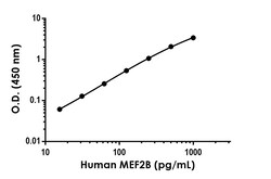 Abcam Human MEF2B Antibody Pair - BSA and Azide free, 10 x 96 Tests