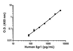 Abcam Human Egr1 Antibody Pair - BSA and Azide free, 10 x 96 Tests