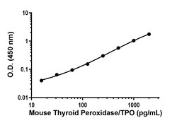 Abcam Mouse Thyroid Peroxidase/TPO Antibody Pair - BSA and Azide free, 10 x 96 Tests