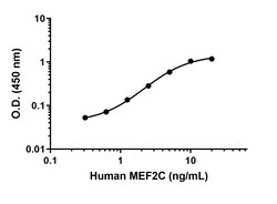 Abcam Human MEF2C Antibody Pair - BSA and Azide free, 10 x 96 Tests