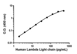 Abcam&nbsp;Human Lambda Light chain Antibody Pair - BSA and Azide free, 10 x 96 Tests