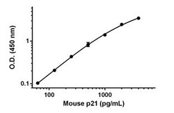 Abcam Human STIL/SIL Antibody Pair - BSA and Azide free, 10 x 96 Tests