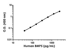 Abcam Human BMP5 Antibody Pair - BSA and Azide free, 10 x 96 Tests