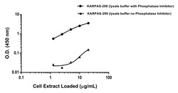 Abcam Human ALK (phospho Y1507) Antibody Pair - BSA and Azide free, 10 x 96 Tests