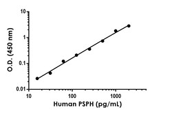 Abcam PSPH Antibody Pair - BSA and Azide free, 10 x 96 Tests