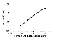 Abcam LXR beta/NER Antibody Pair - BSA and Azide free, 10 x 96 Tests
