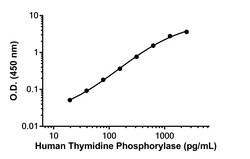 Abcam Human Thymidine Phosphorylase Antibody Pair - BSA and Azide free, 10 x 96 Tests