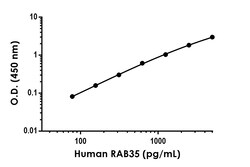 Abcam Human/Mouse RAB35 Antibody Pair - BSA and Azide free, 10 x 96 Tests