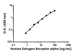 Abcam&nbsp;Human Estrogen Receptor alpha Antibody Pair - BSA and Azide free, 10 x 96 Tests