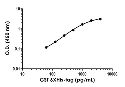Abcam GST 6XHis-tag Antibody Pair - BSA and Azide free, 10 x 96 Tests