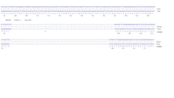 Abcam&nbsp;Human SERPINE1 knockout U-87 MG cell line