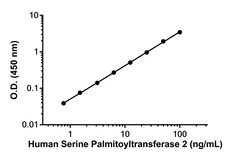 Abcam Serine Palmitoyltransferase 2 Antibody Pair - BSA and Azide free, 10 x 96 Tests