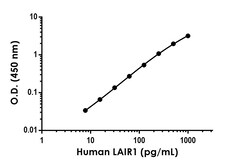 Abcam Human LAIR1 Antibody Pair - BSA and Azide free, 10 x 96 Tests