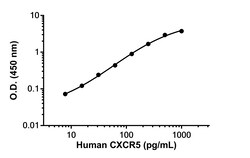 Abcam Human CXCR5 Antibody Pair - BSA and Azide free, 10 x 96 Tests