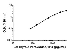 Abcam Rat Thyroid Peroxidase/TPO Antibody Pair - BSA and Azide free, 10 x 96 Tests