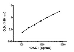 Abcam HDAC1 ELISA Kit, 1 x 96 Tests