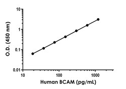 Abcam&nbsp;Human BCAM (CD239) ELISA Kit, 1 x 96 Tests