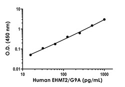 Abcam Human EHMT2/G9A ELISA Kit, 1 x 96 Tests