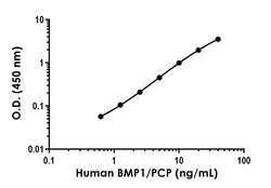 Abcam&nbsp;Human BMP1/PCP Antibody Pair - BSA and Azide free, 10 x 96 Tests