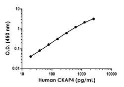 Abcam Human CKAP4 Antibody Pair - BSA and Azide free, 10 x 96 Tests