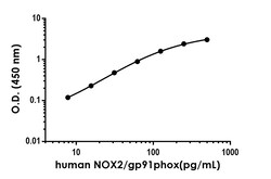 Abcam&nbsp;Human NOX2/gp91phox Antibody Pair - BSA and Azide free, 10 x 96 Tests
