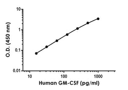 Abcam Human/Monkey GM-CSF Antibody Pair - BSA and Azide free, 10 x 96 Tests