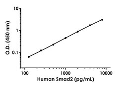 Abcam&nbsp;Human Smad2 Antibody Pair - BSA and Azide free, 10 x 96 Tests