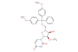 eMolecules​&nbsp;Combi-Blocks Inc.  5'-O-(44'-Dimethoxytrityl)-2'-O-methyluridine  100g  796998314  QC-2687  96.000  103285-22-9  MFCD00274123  560.603  C31H32N2O8