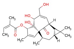eMolecules​&nbsp;TargetMol  Ingenol mebutate  1mg  731751010  TN1047    75567-37-2  MFCD22683801  430.541  C25H34O6