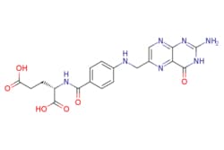 eMolecules​&nbsp;59-30-3 | FOLIC ACID | AstaTech | MFCD00076077 | 441.404 | C19H19N7O6 | 98.000 | Nc1nc2ncc(CNc3ccc(cc3)C(=O)N[C@@H](CCC(O)=O)C(O)=O)nc2c(=O)[nH]1 | 100g | 718054784