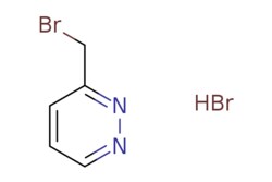 eMolecules​&nbsp;Combi-Blocks Inc.  3-(Bromomethyl)pyridazine hydrobromide  1g  603144237  QB-3920  97.000  1452483-94-1  MFCD20526346  253.925  C5H6Br2N2