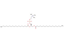 eMolecules​&nbsp;Ambeed  12-Distearoyl-sn-glycero-3-phosphorylcholine  250mg  599120047  A793066    816-94-4  MFCD00036905  790.161  C44H88NO8P