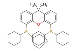 eMolecules​&nbsp;940934-47-4 | 4,5-Bis(dicyclohexylphosphino)-9,9-dimethyl-9H-xanthene | Combi-Blocks | MFCD22422615 | 602.824 | C39H56OP2 | 97.000 | CC1(C)c2cccc(P(C3CCCCC3)C3CCCCC3)c2Oc2c(cccc12)P(C1CCCCC1)C1CCCCC1 | 1g | 401043369