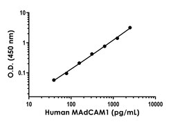 Abcam Human MAdCAM1 ELISA Kit- intracellular., Quantity: Each of 1