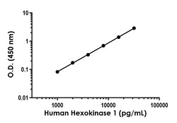 Abcam Human Hexokinase 1 ELISA Kit, 1 x 96 Tests