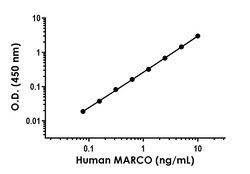 Abcam&nbsp;Human MARCO Antibody Pair - BSA and Azide free, 10 x 96 Tests