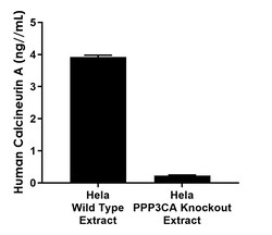 Abcam Human Calcineurin A Antibody Pair - BSA and Azide free, 10 x 96 Tests