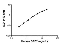 Abcam GRB2 Antibody Pair - BSA and Azide free, 10 x 96 Tests