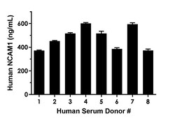 Abcam&nbsp;Human NCAM1 ELISA Kit, 1 x 96 Tests