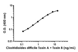Abcam&nbsp;Clostridioides difficile Toxin A + Toxin B Antibody Pair - BSA and Azide free, 10 x 96 Tests