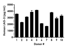 Abcam Human LAG-3 ELISA Kit, 1 x 96 Tests
